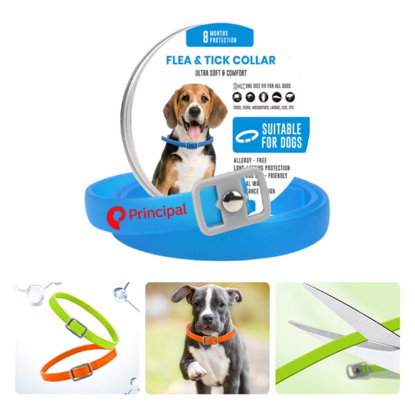 Dog anti-lice collar