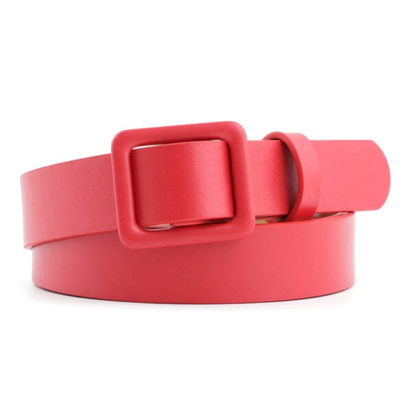 Women's casual belts - Image 6