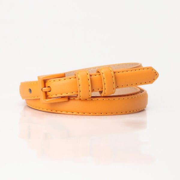 Casual women's belts - Image 11