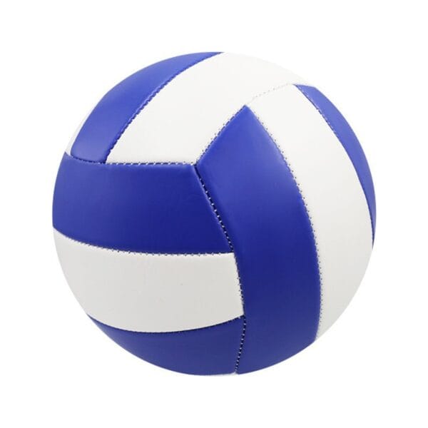 volleyball - Image 2